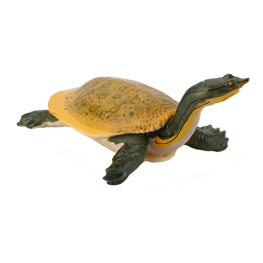 Home Decor Simulator - 1 Stück Realistische Simulations-Süßwasserschildkröte Lehrreiches Tier-Lernwerkzeug