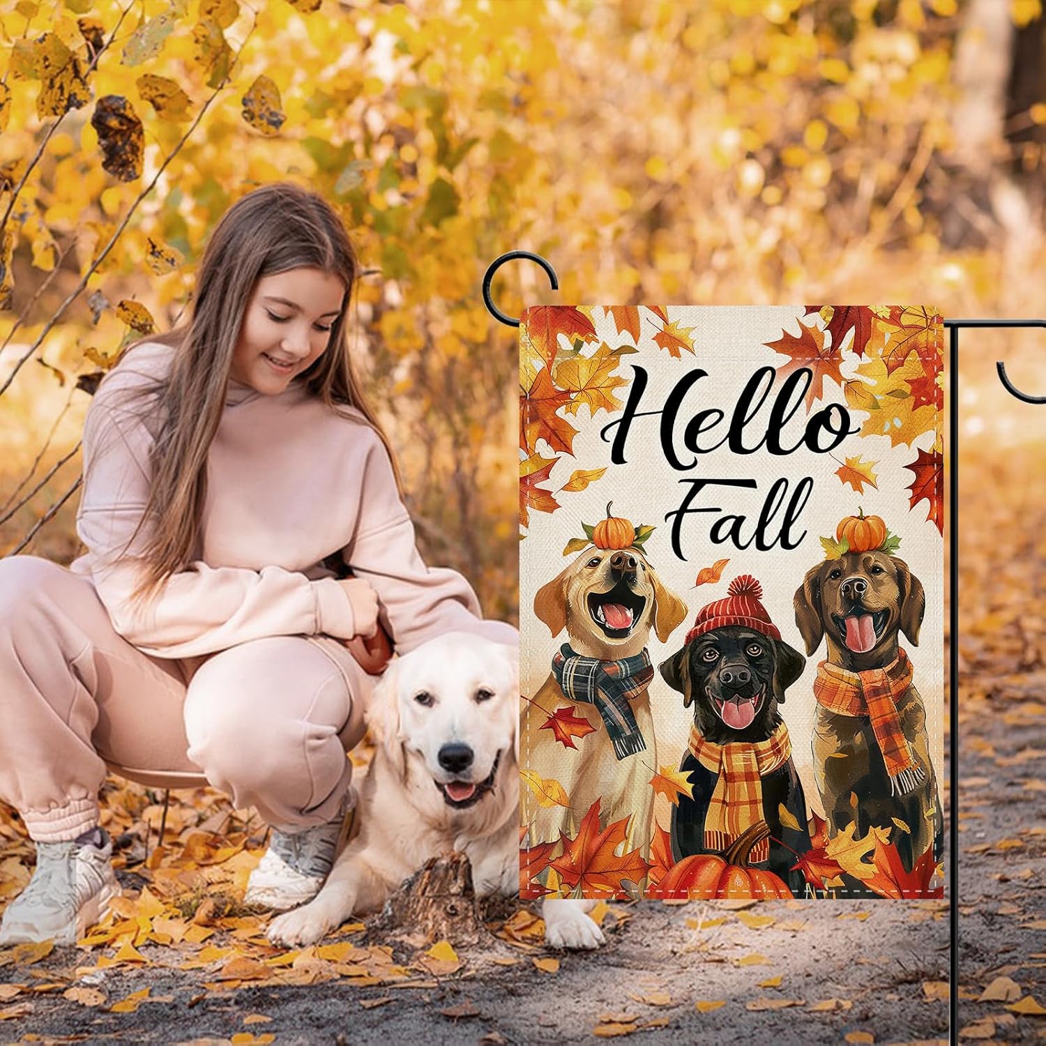 Dyrenson Hello Fall Labrador H – Home Decor Outside Bewertung und Preis