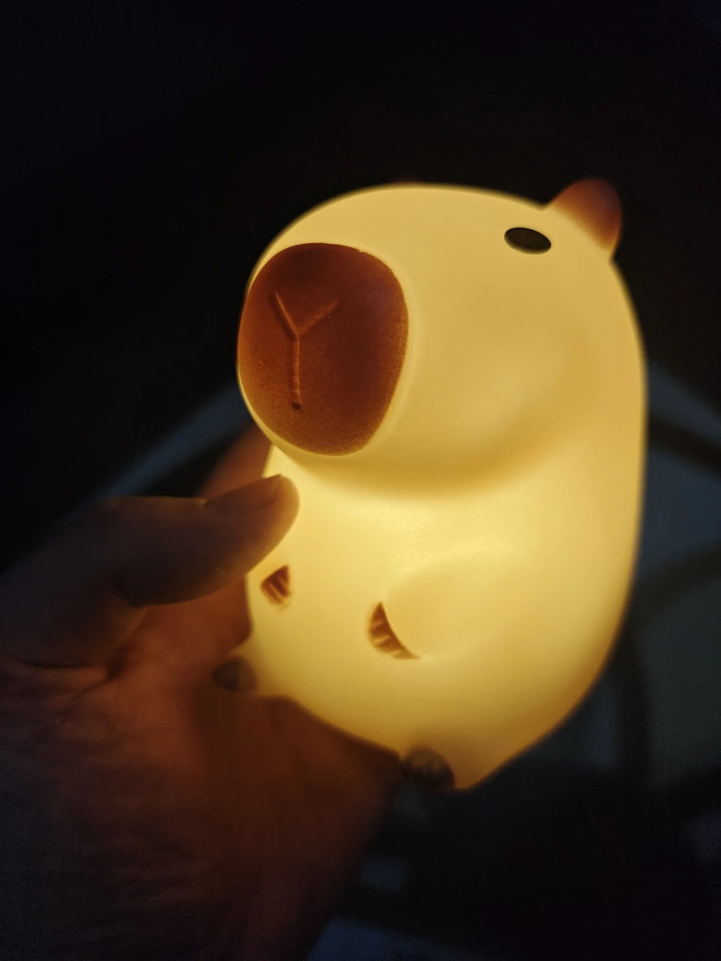 Niedliches Capybara-Nachtlicht – Home Decor On Sale Bewertung und Preis