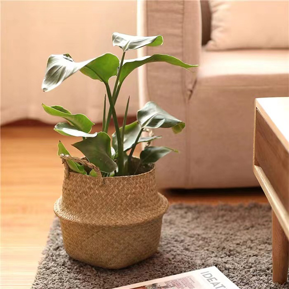 Pflanzenkorb mit Griffen, Weid – Rattan Plant Basket Bewertung und Preis
