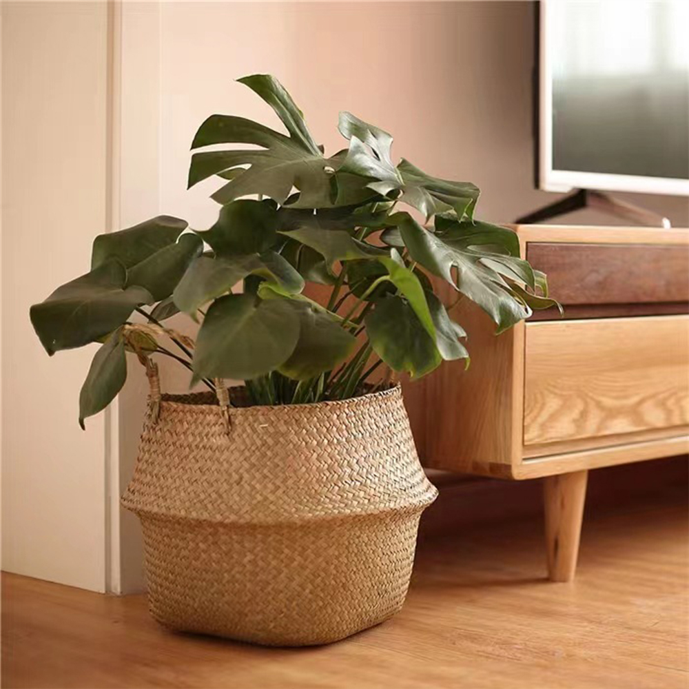 Pflanzenkorb mit Griffen, Weid – Rattan Plant Basket Bewertung und Preis