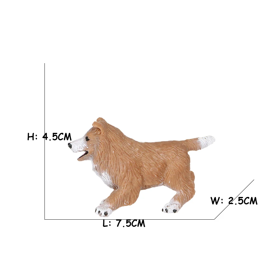 Golden Retriever Corgi Shiba I – Review Home Decor Bewertung und Preis